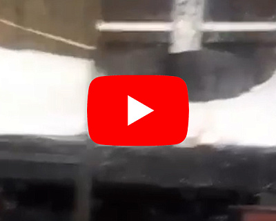 Проволока стальная отожженная вязальная 5мм